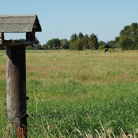 Ferienwohnung Wiekenblick Wiesmoor Zewnętrze zdjęcie